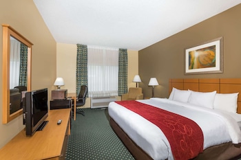 Studio Suite, 1 King Bed, Non Smoking