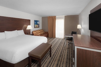 Room, 1 King Bed, Non Smoking (Poolside View)