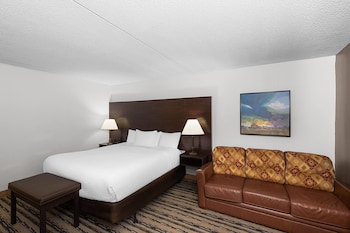 Room, 1 King Bed, Non Smoking (Poolside View)