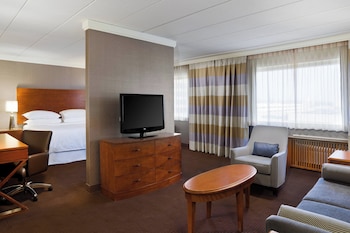 Executive Suite, 1 Bedroom