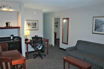 Suite, 1 King Bed with Sofa bed, Non Smoking (City/Courtyard View)