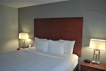 Suite, 1 King Bed with Sofa bed, Non Smoking (City/Courtyard View)