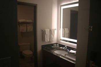 Room, 1 King Bed, Non Smoking