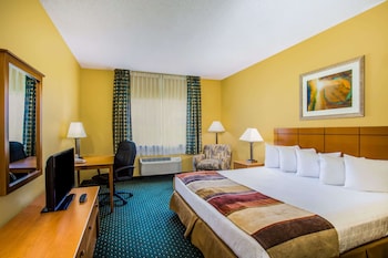 Room, 1 King Bed, Non Smoking