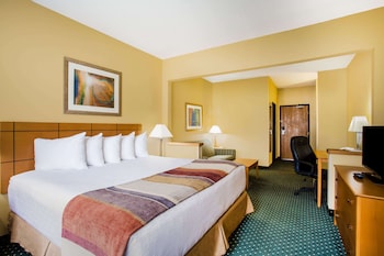 Studio Suite, 1 King Bed, Non Smoking