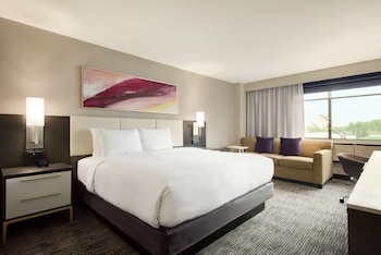 Room, 1 King Bed with Sofa bed