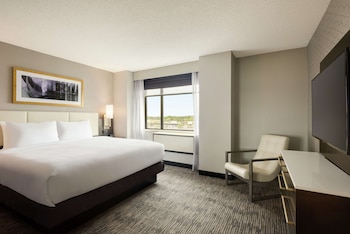 Suite, 1 King Bed with Sofa bed