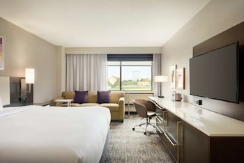 Room, 1 King Bed with Sofa bed