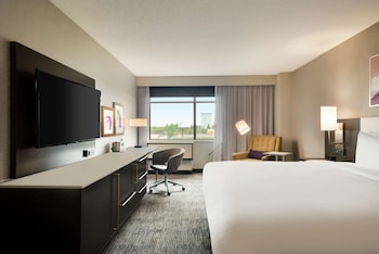 Room, 1 King Bed