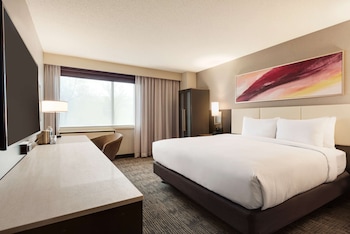 Room, 1 King Bed, Accessible, Bathtub (Mobility & Hearing)