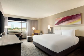 Room, 1 King Bed