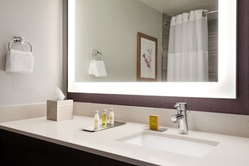 Room, 1 King Bed, Accessible (3x3 Shower)
