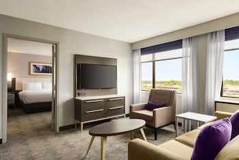 Suite, 1 King Bed with Sofa bed