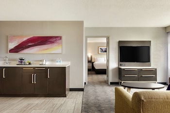 Suite, 1 King Bed with Sofa bed