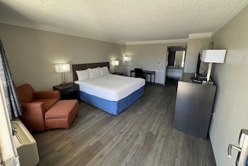 Room, 1 King Bed, Accessible, Non Smoking (Tub with Grab Bars)