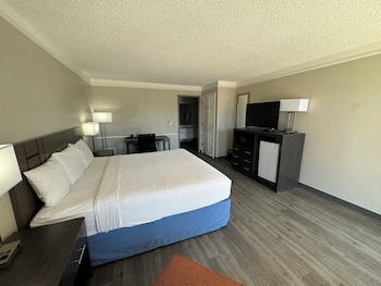 Studio Suite, 1 King Bed, Non Smoking