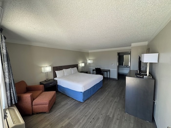 Room, 1 King Bed, Accessible, Non Smoking (Tub with Grab Bars)