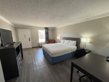 Room, 1 King Bed, Accessible, Non Smoking (Tub with Grab Bars)
