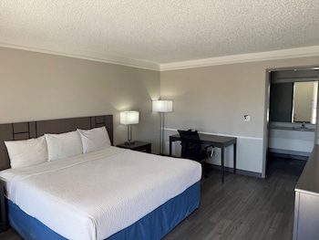 Room, 1 King Bed, Accessible, Non Smoking (Tub with Grab Bars)