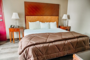 Room, 1 King Bed, Accessible, Non Smoking