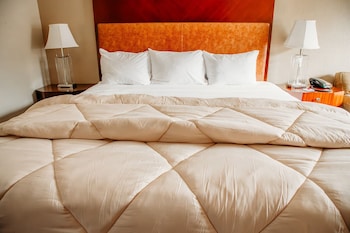 Room, 1 King Bed, Accessible, Non Smoking