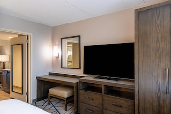 Suite, 1 King Bed with Sofa bed