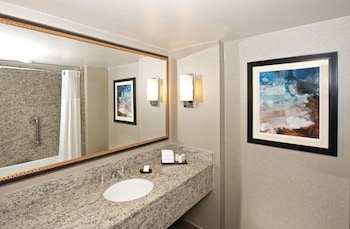 Suite, 1 King Bed with Sofa bed, Accessible, Non Smoking