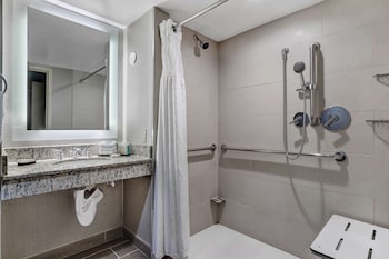 Suite, 1 Queen Bed, Accessible (Mobility & Hearing, Roll-in Shower)