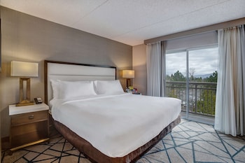 Suite, 1 Queen Bed, Accessible (Mobility & Hearing, Roll-in Shower)