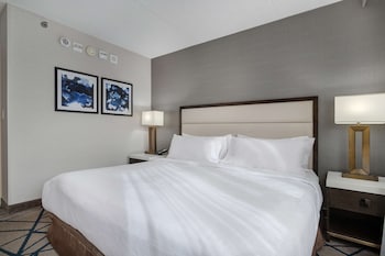 Suite, 1 Queen Bed, Accessible (Mobility & Hearing, Roll-in Shower)