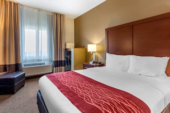 Standard Room, 1 Queen Bed, Non Smoking