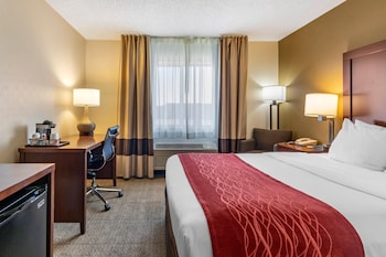 Room, 1 Queen Bed, Non Smoking