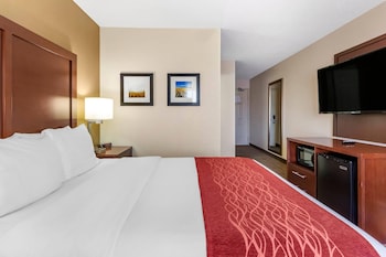 Room, 1 Queen Bed, Non Smoking