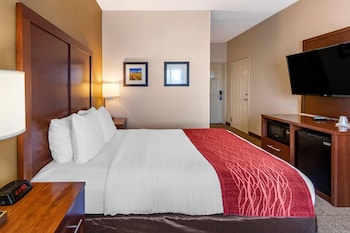 Standard Room, 1 Queen Bed, Non Smoking