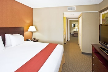 Suite, 1 Queen Bed, Accessible (Communications, Mobil, Roll-In Shower)