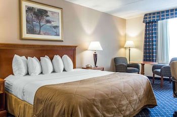 Room, 1 King Bed, Accessible, Non Smoking