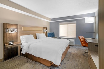 Room, 1 King Bed, Transfer Shower, Non Smoking
