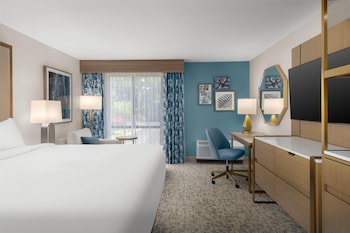 Room, 1 King Bed