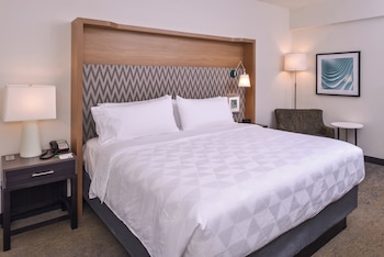 Suite, 1 King Bed with Sofa bed