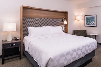 Suite, 1 King Bed (Mobility, Roll-In Shower)