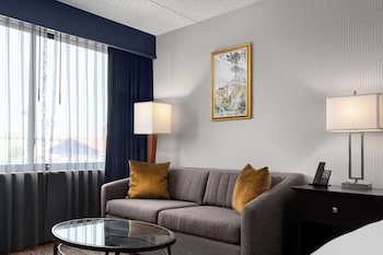 Room, 1 King Bed with Sofa bed, Non Smoking