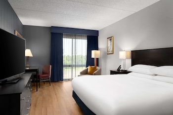 Room, 1 King Bed, Accessible, Non Smoking