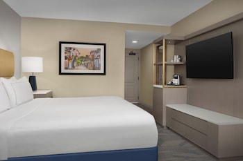 Room, 1 King Bed, Accessible, Bathtub
