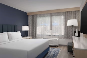 Suite, 1 King Bed