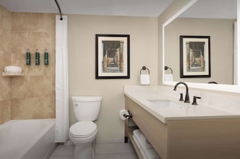 Suite, 1 King Bed