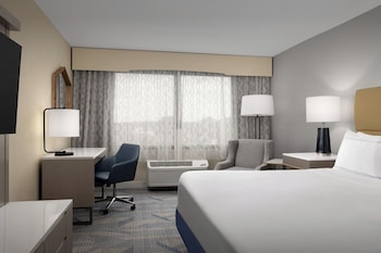 Room, 1 King Bed, Accessible, Bathtub