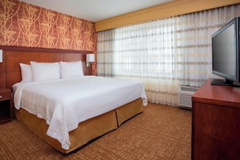 Room, 1 King Bed