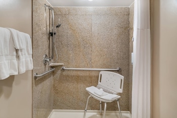 Room, 1 Queen Bed with Sofa bed, Accessible, Non Smoking (Roll-In Shower)