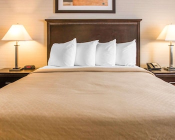 Room, 1 Queen Bed with Sofa bed, Accessible, Non Smoking (Roll-In Shower)