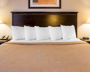 Standard Room, 1 King Bed, Non Smoking